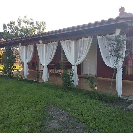 Olive Garden Guest House Kipariszía Kültér fotó