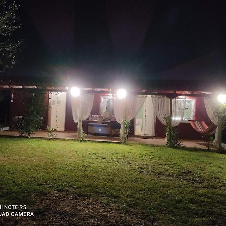 Olive Garden Guest House Kipariszía Kültér fotó