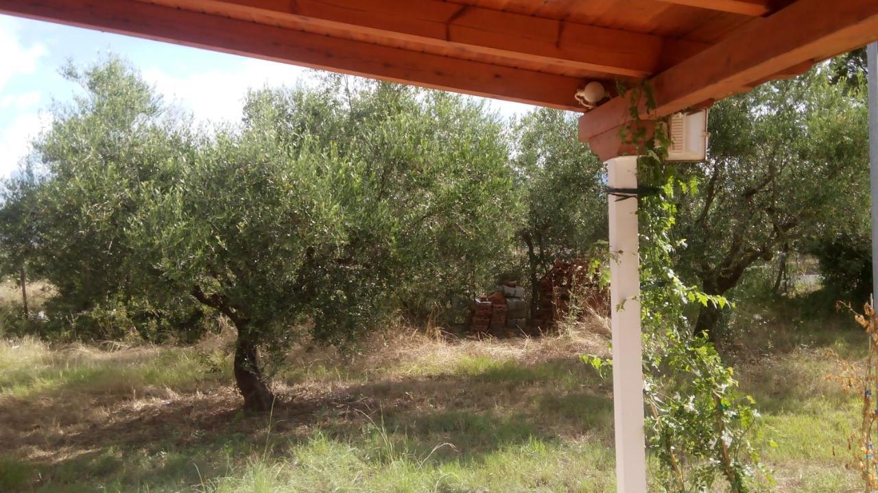 Olive Garden Guest House Kipariszía Kültér fotó