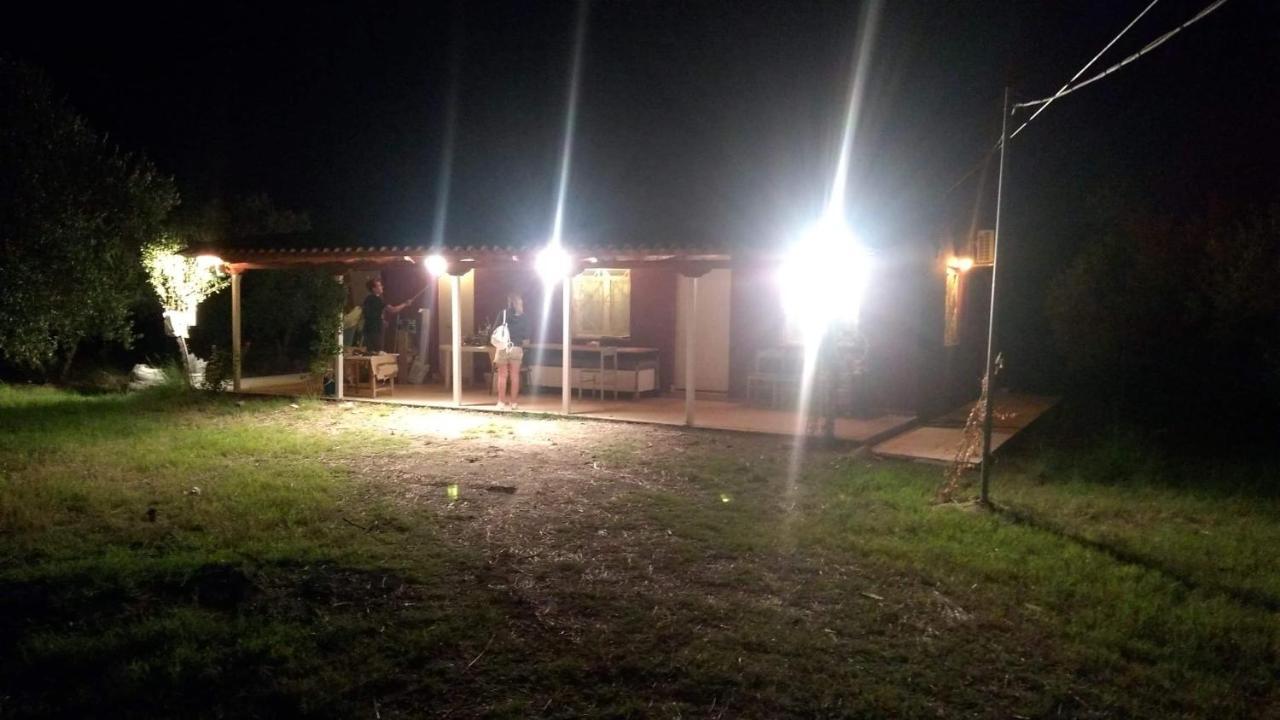 Olive Garden Guest House Kipariszía Kültér fotó