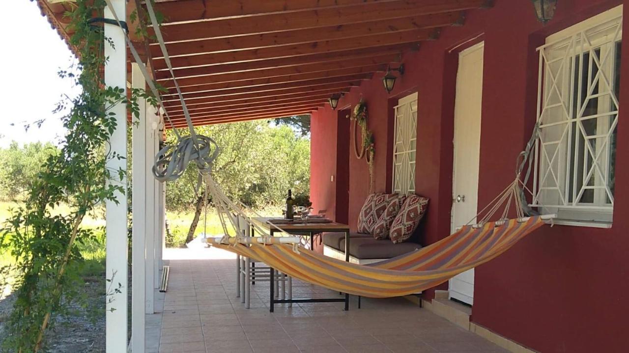 Olive Garden Guest House Kipariszía Kültér fotó