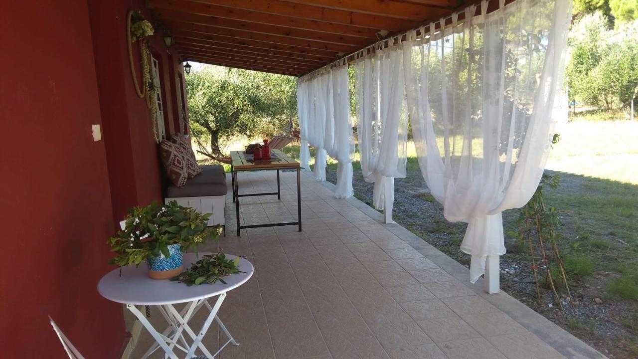 Olive Garden Guest House Kipariszía Kültér fotó