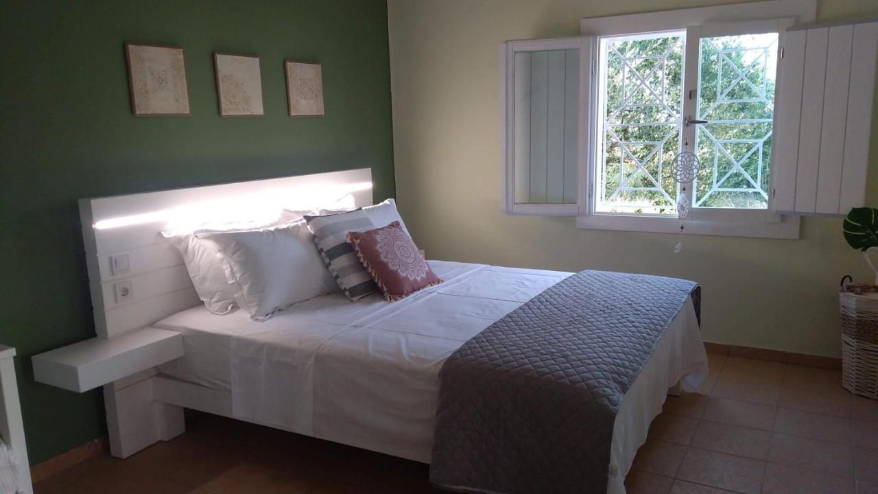 Olive Garden Guest House Kipariszía Kültér fotó