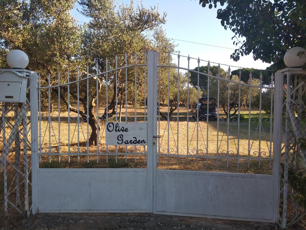Olive Garden Guest House Kipariszía Kültér fotó