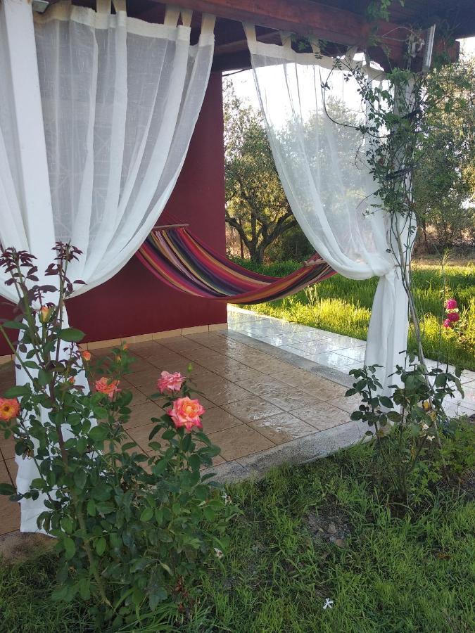Olive Garden Guest House Kipariszía Kültér fotó