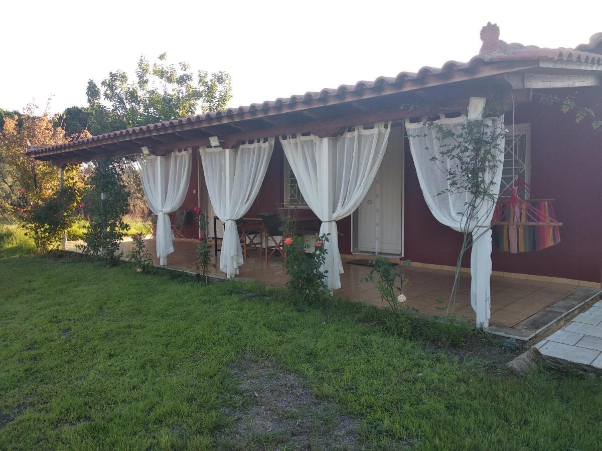 Olive Garden Guest House Kipariszía Kültér fotó