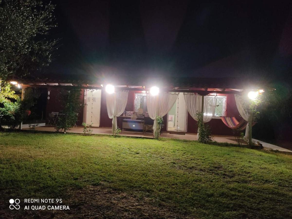 Olive Garden Guest House Kipariszía Kültér fotó